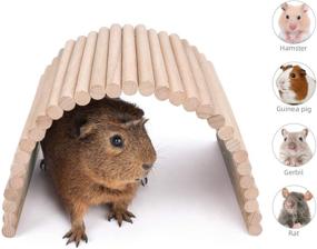 img 2 attached to 🐾 Niteangel Wooden Suspension Bridge for Small Animals - Ideal for Hamsters, Guinea Pigs, Rats, Hedgehogs, Gerbils, Mice, Sugar Gliders, and More!