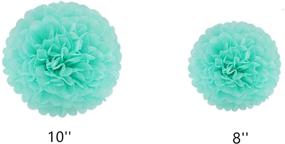 img 1 attached to LyButty Colorful Party Decorations: 16 Tissue Pom Poms, 40 Sheet Tissue 🎉 Tassels, & 1 Polka Dot Paper Garland - Shop Now for Exciting Party Supplies!