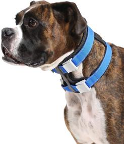 img 1 attached to 🐾 Large Grey Cesar Millan Pack Leader Collar for Effective Dog Training