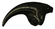 allosaurus dinosaur life fossil replica logo
