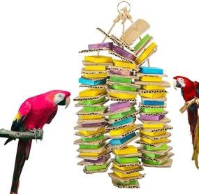 img 4 attached to Cardboard Multicolored Designed Cockatoos Parakeets