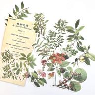 🌿 60-piece vintage leaf, plant, and flower stickers set - big size journal stickers for planner, diy crafts, embellishment, and diary - 20 unique designs, 3 stickers each (plant atlas/zhiwutupu) logo