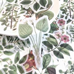 img 2 attached to 🌿 60-Piece Vintage Leaf, Plant, and Flower Stickers Set - Big Size Journal Stickers for Planner, DIY Crafts, Embellishment, and Diary - 20 Unique Designs, 3 Stickers Each (Plant Atlas/Zhiwutupu)