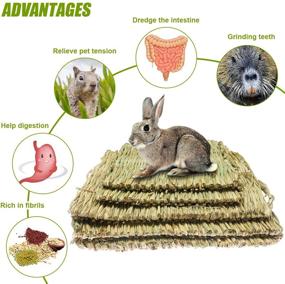 img 1 attached to 🐰 Pack of 5 Woven Grass Bed Mats - Natural Straw Bedding Nest Mat with Chew Toys - Ideal for Guinea Pigs, Parrots, Rabbits, Hamsters, Rats, and Bunnies