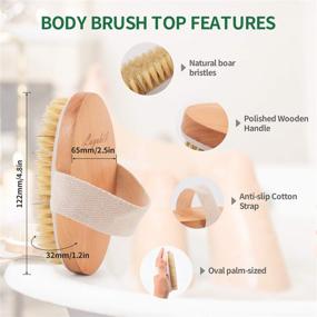 img 1 attached to 🚿 Layuki Body Brush and 2-Sided Foot File Scrubber Set: Dry/Wet Brushing, Bath/Shower Exfoliator, Cellulite Treatment, Pumice Stone Foot File Scrubber
