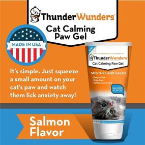 img 1 attached to 🐾 Powerful ThunderWunders Cat Calming Paw Gel: Vet Recommended Solution for Stressful Situations, Ideal for Vet Visits, Traveling, Visitors & More