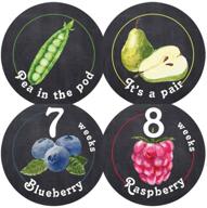 🤰 belly doodles 40 weekly pregnancy fruit stickers - 3.94-inch logo