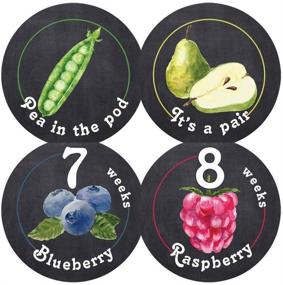 img 2 attached to 🤰 Belly Doodles 40 Weekly Pregnancy Fruit Stickers - 3.94-inch