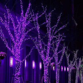 img 1 attached to 🎄 Joliyoou 200 LED Christmas String Lights: 66FT Twinkle Fairy Lights for Indoor/Outdoor Holiday Decoration - Black Wire, Purple