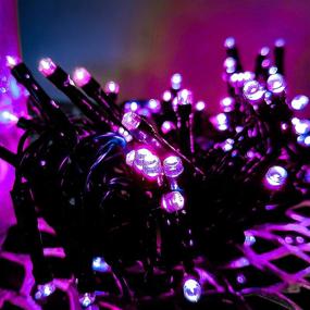 img 4 attached to 🎄 Joliyoou 200 LED Christmas String Lights: 66FT Twinkle Fairy Lights for Indoor/Outdoor Holiday Decoration - Black Wire, Purple