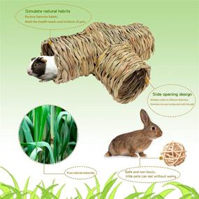 img 2 attached to Kuniklo Hamster Hideaway Grass Tunnel Toy: Natural, Lightweight Hideout 🐹 for Small Animals - Perfect for Hamsters, Guinea Pigs, Ferrets, and More!