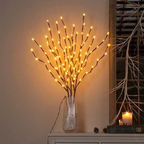 img 1 attached to 🌿 Enhance Your Indoor and Outdoor Décor with Vanthylit Lighted 33 Inches 3PK Twig Branches: Waterproof, 90LEDs, Brown Willow Branch Lights with Adapter