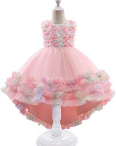 img 2 attached to Christmas Girls' Clothing: Princess Flower Photography Dresses