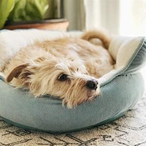 img 1 attached to 🐾 Premium Orthopedic Comfort Pet Bed - Sheri Best Friends, featuring High Walls for Security and Deep Rest, Machine-Washable - Ideal for Dogs and Cats