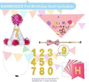 img 3 attached to BANMODER Dog Birthday Bandana and Hat Set: Celebrate Your Pet's Special Day with Cake Pattern, Numbered Hats, Bow Ties, and Decorations (Pink)