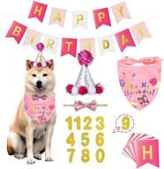 banmoder dog birthday bandana and hat set: celebrate your pet's special day with cake pattern, numbered hats, bow ties, and decorations (pink) логотип