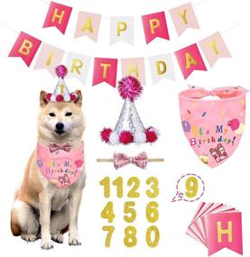 img 4 attached to BANMODER Dog Birthday Bandana and Hat Set: Celebrate Your Pet's Special Day with Cake Pattern, Numbered Hats, Bow Ties, and Decorations (Pink)