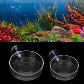 img 4 attached to 🦐 2PCS Senzeal Shrimp Feeding Dish - Round Reptile Feeder Bowl for Aquarium Fish Tank, Enhanced with Suction Cups