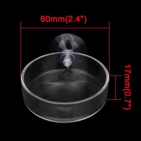 img 1 attached to 🦐 2PCS Senzeal Shrimp Feeding Dish - Round Reptile Feeder Bowl for Aquarium Fish Tank, Enhanced with Suction Cups