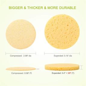 img 2 attached to Facial Sponges Compressed Cellulose Exfoliating