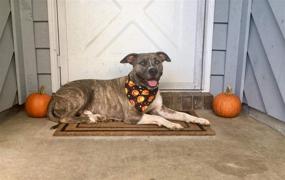 img 1 attached to 🎃 Spook up your Pet's Style with KZHAREEN Halloween Dog Bandana Triangle Bibs Scarf Accessories Pumpkin