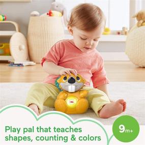 img 3 attached to 🦫 Fisher-Price Связывающий игрушку Боппин Бобр: Освещенная музыкальная игрушка для малышей