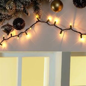 img 2 attached to 🎄 Green Wire Mini Lights: Holiday Time 300 Clear Bulbs, 62.5 Feet