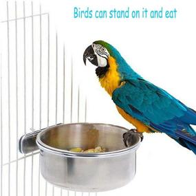 img 2 attached to 🦜 Pack of 2 Stainless Steel Parrot Feeding Cups, PINVNBY Bird Food Dish with Clamp Holder for Cockatiel Conure Budgies Parakeet Parrot Macaw Small Animal Chinchilla