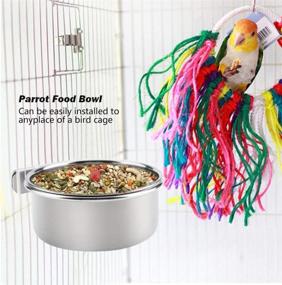 img 3 attached to 🦜 Pack of 2 Stainless Steel Parrot Feeding Cups, PINVNBY Bird Food Dish with Clamp Holder for Cockatiel Conure Budgies Parakeet Parrot Macaw Small Animal Chinchilla
