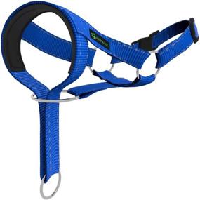 img 4 attached to Lepark Training Colorful Harness Adjustable
