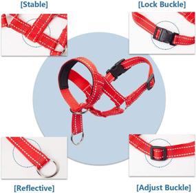 img 2 attached to Lepark Training Colorful Harness Adjustable