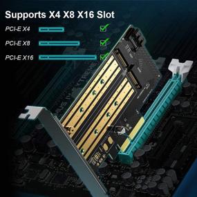 img 1 attached to Dual PCIe Adapter Card NVMe