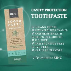 img 1 attached to 🌿 SprinJene Natural Toothpaste with Hemp-Derived Fluoride-Free Formula - 4 Packs