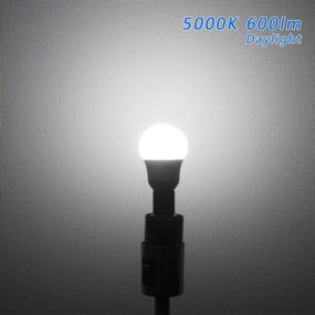 img 1 attached to 💡 Dimmable Chandelier Lighting With Equivalent Daylight