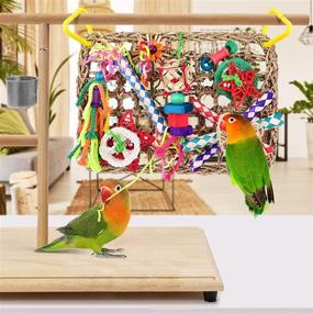 img 1 attached to 🐦 Interactive Foraging Wall Toy for Birds: KATUMO Bird Toys with Edible Seagrass Mat and Colorful Chewing Toys - Ideal for Lovebirds, Finch, Parakeets, Budgerigars, Conure, Cockatiel