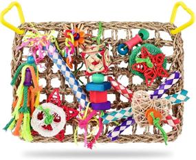 img 4 attached to 🐦 Interactive Foraging Wall Toy for Birds: KATUMO Bird Toys with Edible Seagrass Mat and Colorful Chewing Toys - Ideal for Lovebirds, Finch, Parakeets, Budgerigars, Conure, Cockatiel