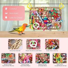 img 2 attached to 🐦 Interactive Foraging Wall Toy for Birds: KATUMO Bird Toys with Edible Seagrass Mat and Colorful Chewing Toys - Ideal for Lovebirds, Finch, Parakeets, Budgerigars, Conure, Cockatiel