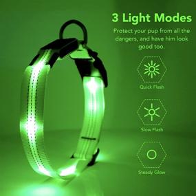 img 3 attached to 🐶 Flashseen LED Dog Collar - USB Rechargeable & Safety Reflective for Small Medium Large Dogs (Green, Large Size)