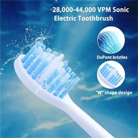 img 2 attached to 🪥 Advanced MOCEMTRY Sonic Electric Toothbrush for Adults – Rechargeable with 4 Duponts Brush Heads, 4 Cleaning Modes, and Waterproof Design