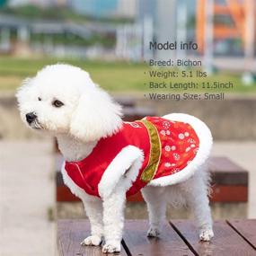 img 3 attached to 🎄 KYEESE Christmas Dog Dress: Festive Red Skirt for Small/Medium Dogs - Sparkling Tutu Dress for Holiday, Parties & Birthdays