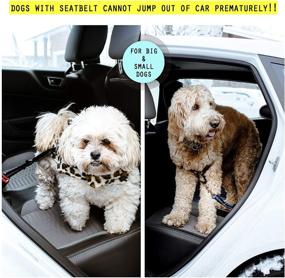 img 2 attached to 🐶 Samson & Harley Heavy-Duty Dog Seatbelts 2-Pack - Secure, Adjustable & Reflective for Small, Medium, Large Dogs - Attaches to Harness & Clips into Car Buckle