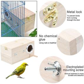 img 3 attached to 🐦 Premium Parakeet Nest Box: Ideal Breeding House for Budgies, Cockatiels, Lovebirds, and Other Medium-Sized Birds