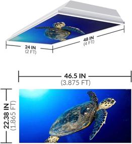 img 3 attached to 💡 OCTO LIGHTS Ocean 008 Fluorescent Light Covers for Office Classroom - Alleviate Glare, Eyestrain, and Headaches. Enhance Office & Classroom Decorations.