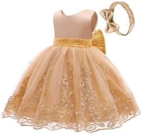 img 2 attached to 👗 CMMCHAAH Baby Girls Pageant Lace Embroidery Dress: Elegant Formal Wear for Toddlers (0-6 Years) with Headwear