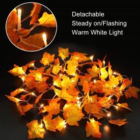 img 1 attached to 🍁 CPPSLEE 20 LED 8.2 FT Thanksgiving Decorations: Festive Fall Home Decor with Maple Leaf String Lights