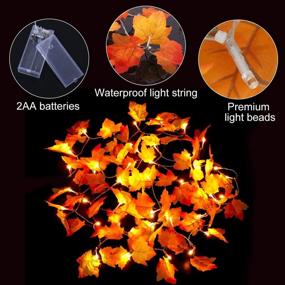 img 2 attached to 🍁 CPPSLEE 20 LED 8.2 FT Thanksgiving Decorations: Festive Fall Home Decor with Maple Leaf String Lights