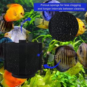 img 3 attached to Introducing the Premium Course Aquarium Sponge Filter: Extended Cleaning Intervals for 10-75 Gallon Tanks! Compare to ATI Pro or Aquarium Co-Op Filter