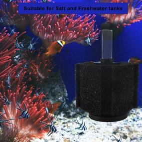 img 1 attached to Introducing the Premium Course Aquarium Sponge Filter: Extended Cleaning Intervals for 10-75 Gallon Tanks! Compare to ATI Pro or Aquarium Co-Op Filter