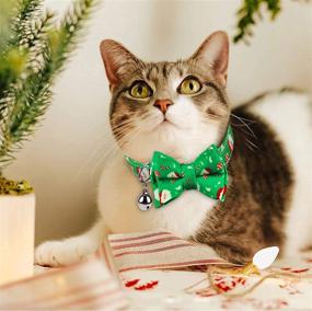 img 3 attached to 🎄 Festive Friendship Collar for Cats & Dogs: Christmas Cat Collar with Bell, Bow Breakaway & Bowtie - Kitten Collar 2 Pack