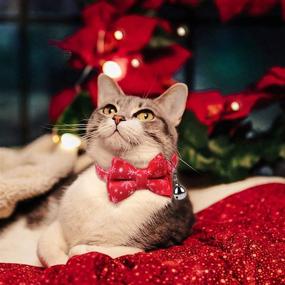 img 2 attached to 🎄 Festive Friendship Collar for Cats & Dogs: Christmas Cat Collar with Bell, Bow Breakaway & Bowtie - Kitten Collar 2 Pack